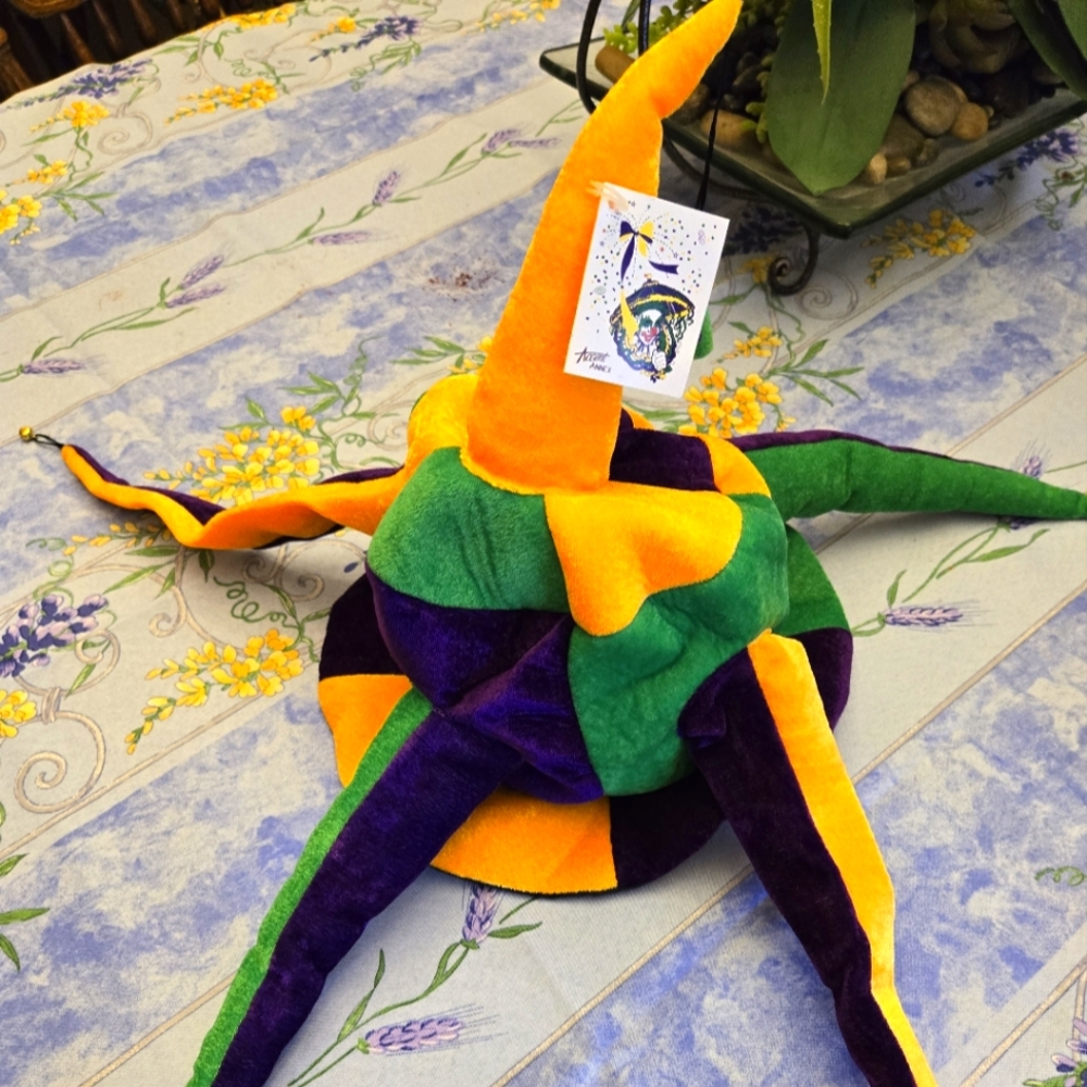 NWT Halloween hat Mardi Gras Facts